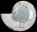 Bargain, Cut Ammonite Fossil (Half) - Agatized #71050-1